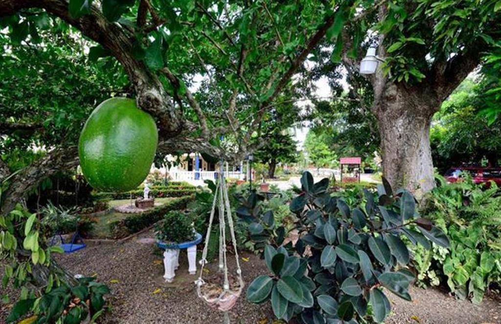 Sana El Jardin Secreto Hostel Santiago De Los Caballeros Bagian luar foto